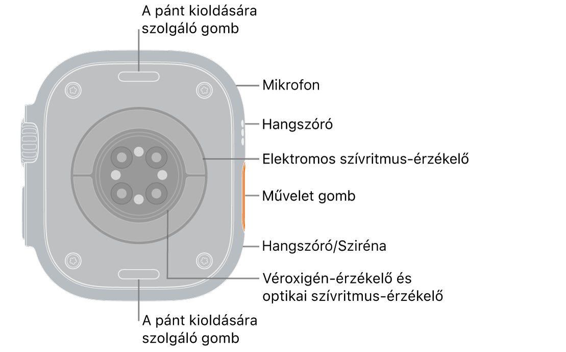 Az Apple&nbsp;Watch&nbsp;Ultra&nbsp;3 hátlapja, felül és alul a szíjkioldó gombokkal. A Watch oldalán egy mikrofon, egy hangszóró, az elektromos pulzusérzékelő, a Művelet gomb, a szirénahangot kibocsátó hangszóróport, a véroxigén érzékelői, illetve az optikai szívérzékelők találhatók.