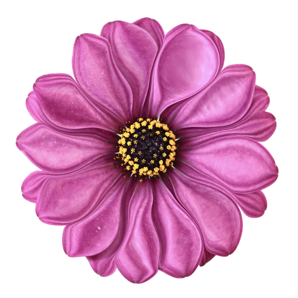 Un calque contenant une image de fleur avec le réglage Bosselage appliqué.