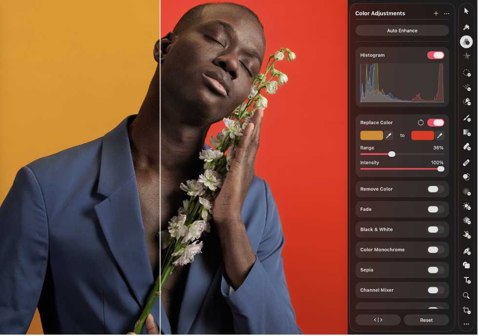 A photo in the canvas with the Replace Color adjustment applied. Beside it is the Color Adjustments pane showing the Replace Color controls.