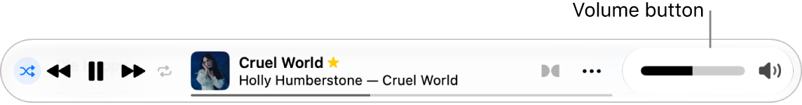 The volume button.