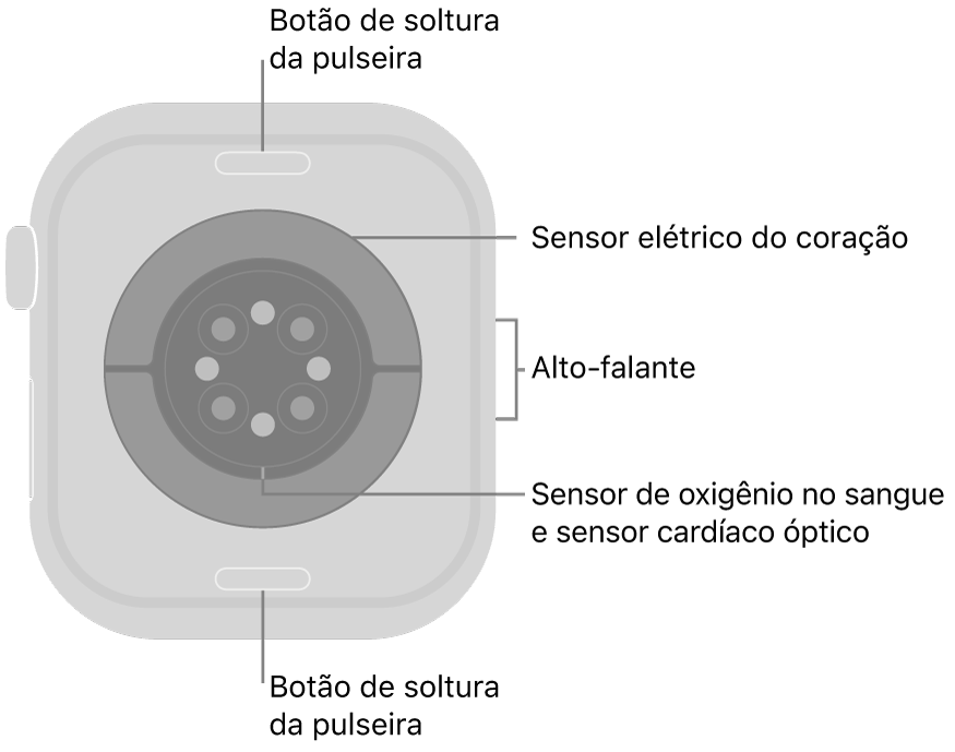 A parte traseira do Apple&nbsp;Watch Series&nbsp;10, com os botões para soltar a pulseira na parte superior e inferior, os sensores elétricos cardíacos, ópticos cardíacos e de oxigênio no sangue no meio, e o alto-falante na lateral.