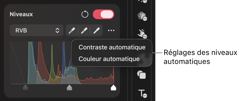 La sous-fenêtre Niveaux avec les réglages automatiques appliqués