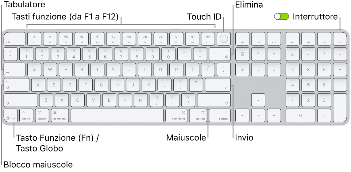 La tastiera Magic&nbsp;Keyboard con Touch&nbsp;ID e tastierino numerico che mostra i tasti funzione e Touch&nbsp;ID in alto e il tasto Funzione (Fn)/Globo a destra del tasto Canc.