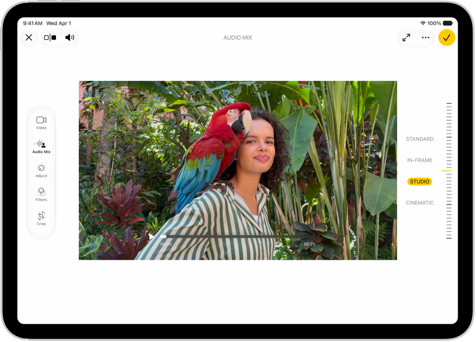 A video is open in the Photos app. On the left side of the screen are editing buttons for Video, Audio Mix, Adjust, Filters, and Crop. Audio Mix is selected. On the right side of the screen are buttons to adjust the sound options which are Standard, In-Frame, Studio, and Cinematic. Studio is selected.