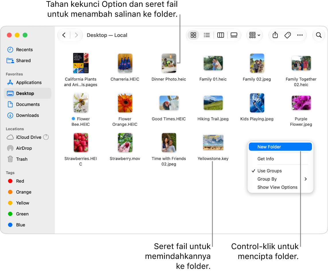 Tetingkap Finder yang mengandungi fail dan folder. Dalam menu pintasan, Folder Baharu diserlahkan.