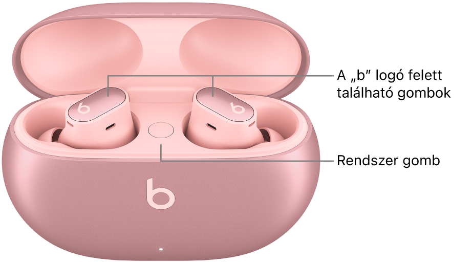 Egy Beats&nbsp;Studio&nbsp;Buds&nbsp;+ képe a füldugókon található „b” logó felett elhelyezkedő gombokkal és a töltőtokon belül található rendszergomb helyével.