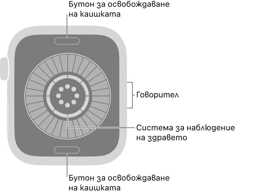 Задната част на Apple Watch Series 12, с бутоните за освобождаване на каишката в горната и долната част, системата за отчитане на здравни показатели в средата и високоговорителя отстрани.