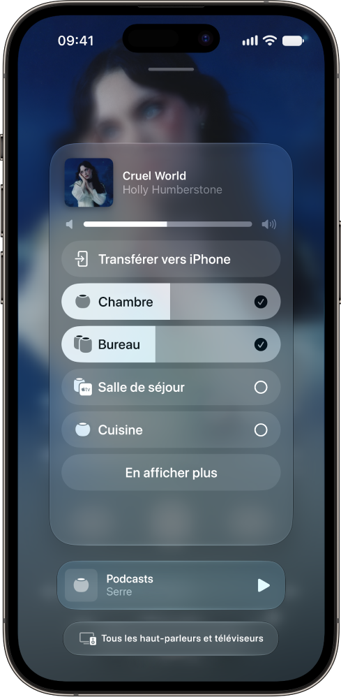 Un écran AirPlay affichant plusieurs haut-parleurs comme destinations audio.