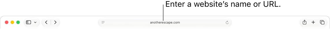 The Safari Smart Search field, where you can enter a website’s name or URL.