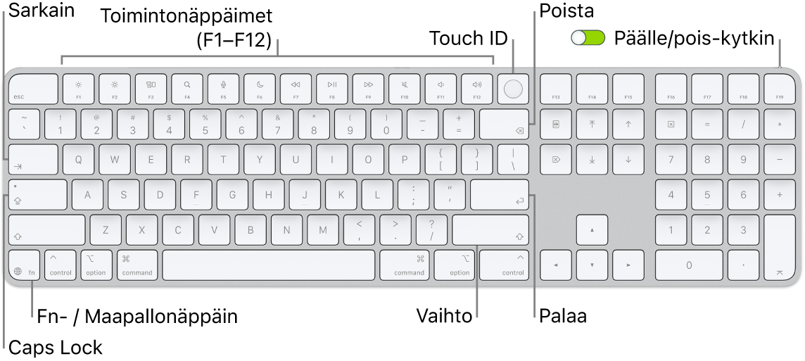 Touch ID:llä ja numeronäppäimistöllä varustettu Magic&nbsp;Keyboard, jossa on rivi toimintonäppäimiä ja Touch ID yläreunassa sekä fn-/maapallonäppäin poistonäppäimen oikealla puolella.