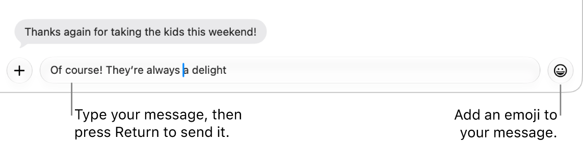 A transcript in the Messages window, with the message field showing at the bottom of the window.