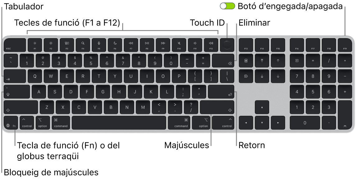 Un Magic&nbsp;Keyboard amb Touch&nbsp;ID i teclat numèric, en què es veu la filera de tecles de funció amb el Touch&nbsp;ID a la part superior i la tecla de funció&nbsp;(Fn)/Globus terraqüi a la part inferior esquerra.