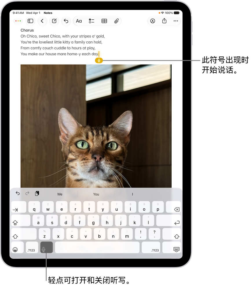 “备忘录” App 中打开的屏幕键盘。键盘底部的“听写”按钮已选中，“听写”按钮显示在文本栏中插入点的下方。