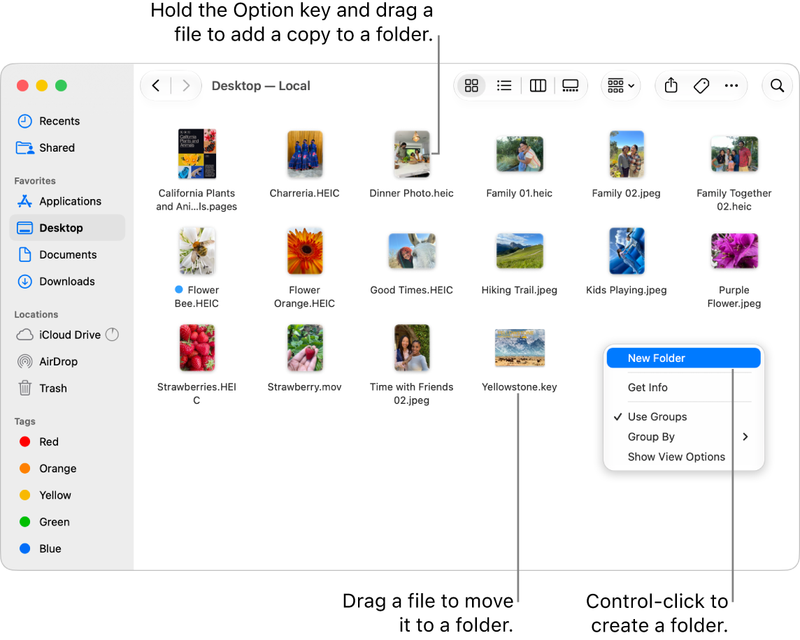 A Finder window containing files and folders. In the shortcut menu, New Folder is highlighted.
