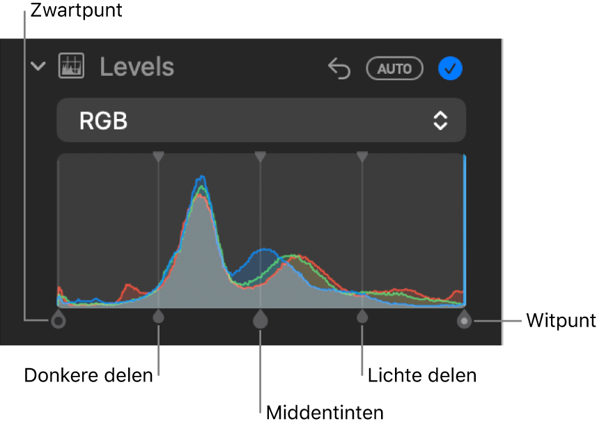 De niveauregelaars in het paneel 'Pas aan', met het RGB-histogram en daaronder grepen met (van links naar rechts) zwartpunt, donkere delen, middentinten, lichte delen en witpunt.