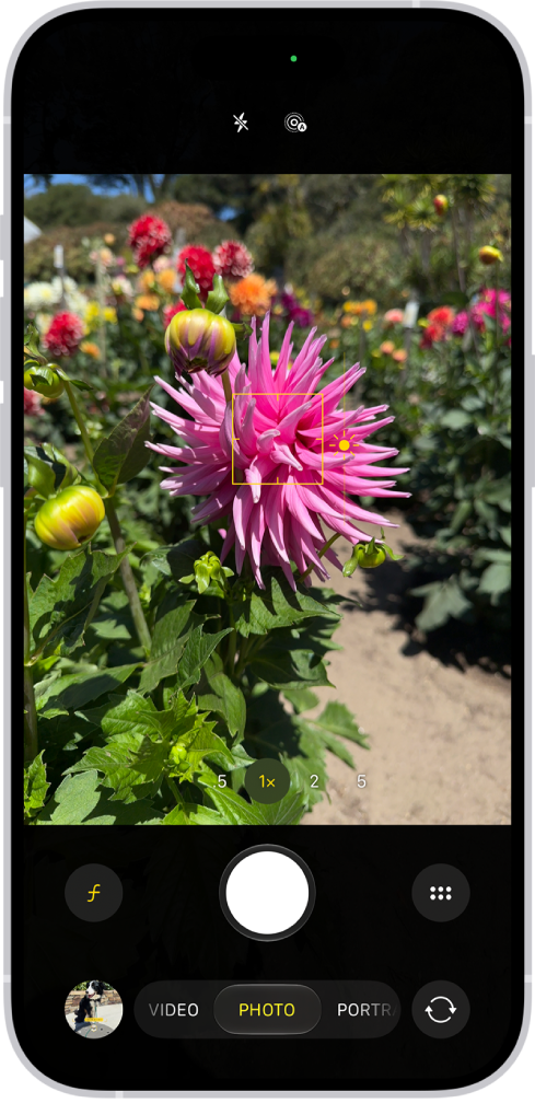Camera is open in Photo mode. In the viewfinder, focus is locked on a subject and a slider to adjust the brightness level is next to the subject.
