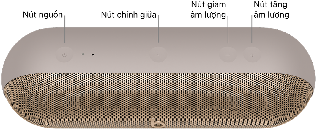 Hình ảnh loa Beats&nbsp;Pill đang hiển thị (từ trái sang phải) vị trí của các nút nguồn, chính giữa, giảm âm lượng và tăng âm lượng ở mặt trên của loa.