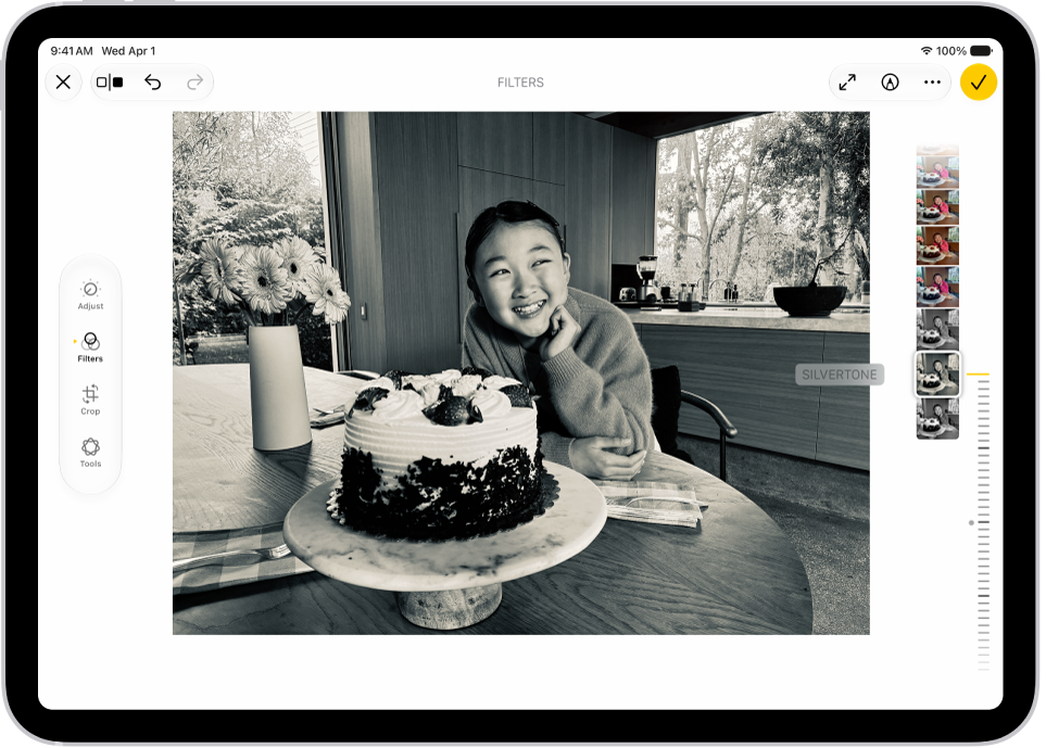 “照片” App 中的“编辑”屏幕，中间是一张照片。 屏幕左侧是“调整”、“滤镜”和“裁剪”按钮；其中“滤镜”已选中。 屏幕右侧是滤镜选项和用于调整滤镜效果级别的滑块。