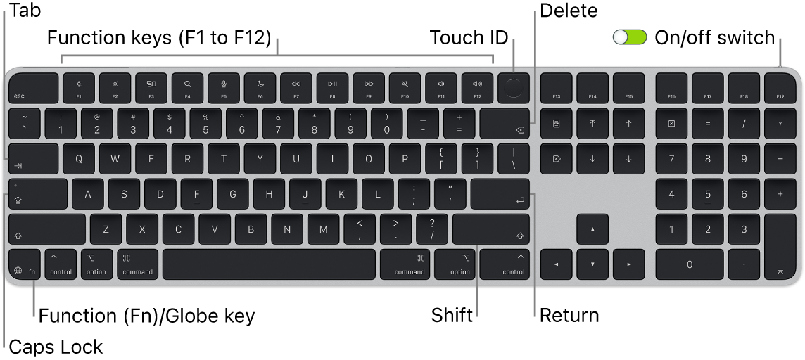 The Magic Keyboard with Touch ID and Numeric Keypad showing the row of function keys and Touch ID across the top, and the Function (Fn)/Globe key on the bottom left.