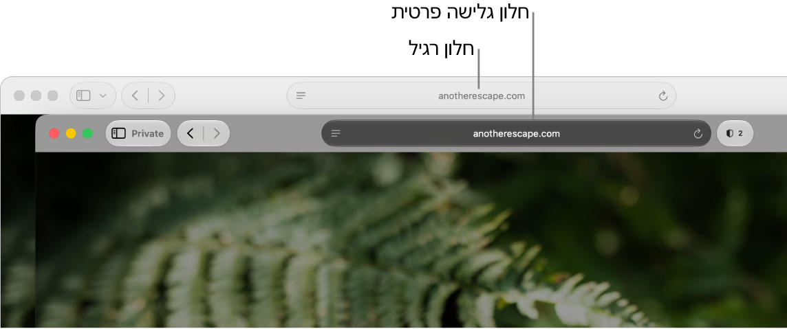 חלון Safari פרטי רגיל עם שדה ״חיפוש חכם״ כהה, וחלון Safari רגיל, עם שדה ״חיפוש חכם״ בהיר.