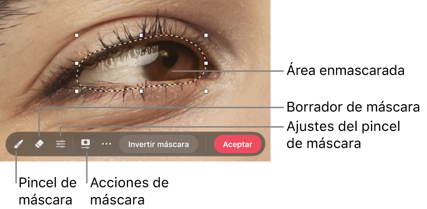 Una máscara de mapa de bits en una foto con la barra de herramientas visible.