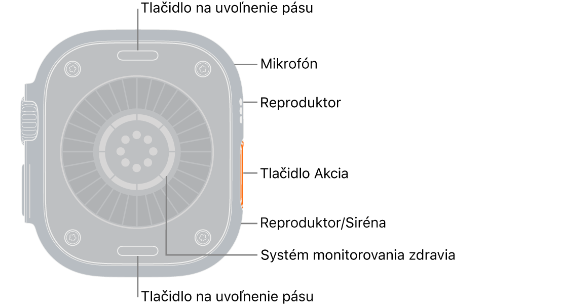 Zadná strana hodiniek Apple&nbsp;Watch&nbsp;Ultra&nbsp;4 s&nbsp;tlačidlami na uvoľnenie remienka navrchu a&nbsp;naspodku. Na boku sa nachádza mikrofón, reproduktor, systém monitorovania zdravia, akčné tlačidlo a&nbsp;port reproduktora na vysielanie sirény.