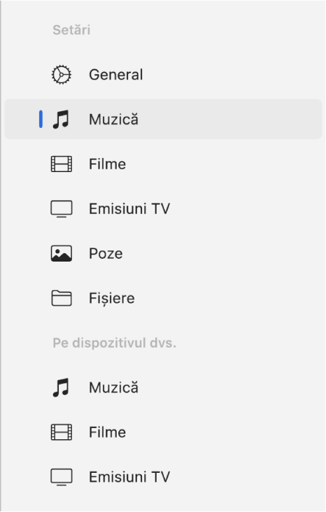 Bara laterală afișând opțiunea Muzică selectată.