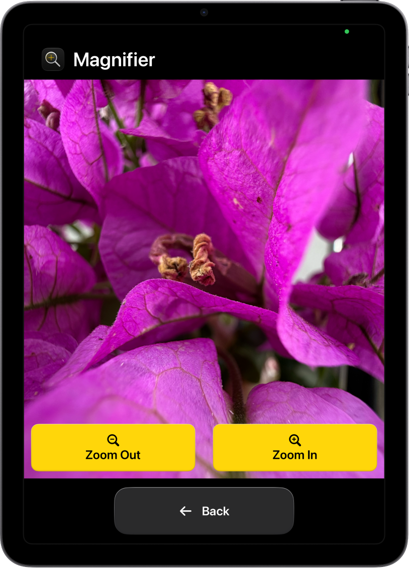An iPad in Assistive Access with the Magnifier app open. A close-up image of a flower fills most of the screen, with Zoom In, Zoom Out, and Back buttons at the bottom.
