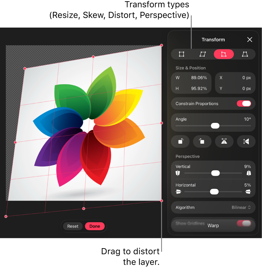 A layer in the canvas with a distortion adjustment applied, alongside the Transform pane.