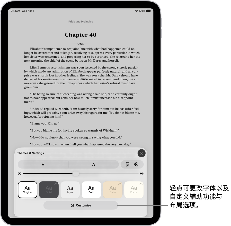 “图书” App 中的图书页面。“主题与设置”选项显示字体大小、滚动视图、翻页样式、亮度和字体样式的控制。