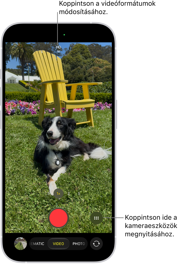 A Kamera app Videó módban. A Kameravezérlők gomb a jobb felső sarokban, míg a videóformátumok gombjai a bal felső sarokban láthatók. A Fotó- és videonéző gomb a bal alsó sarokban található. A Felvétel gomb a képernyő aljának közepén, a Kameraválasztó (hátoldali) gomb pedig a jobb alsó sarokban jelenik meg.