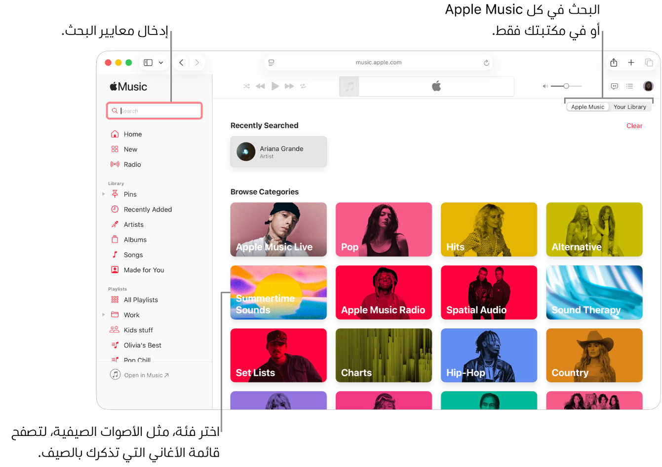 نافذة Apple Music تعرض حقل البحث في الزاوية العلوية اليمنى، وقائمة الفئات في وسط النافذة، و Apple Music أو مكتبتك في الزاوية العلوية اليسرى. أدخل معايير البحث في حقل البحث، ثم اختر البحث في كل Apple Music أو مكتبتك فقط. بشكل اختياري، يمكنك اختيار فئة، مثل الأصوات الصيفية، لتصفح قائمة الأغاني التي تذكرك بالصيف.