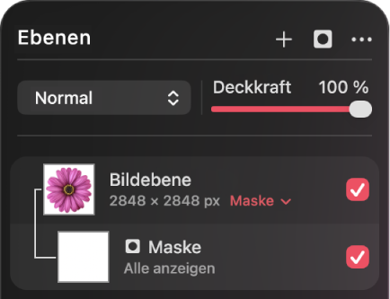 Eine Maskenebene in der Seitenleiste „Ebenen“.