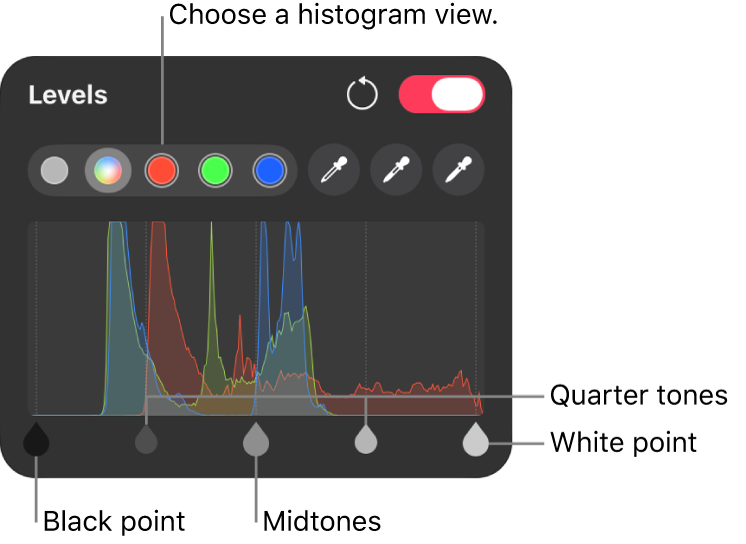 Levels controls in the Color Adjustments pane, including a histogram and handles for adjusting tonal values.