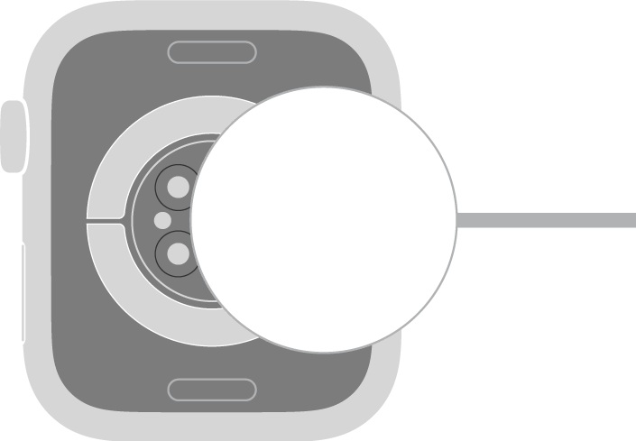 The concave end of the charger magnetically snaps to the back of Apple&nbsp;Watch.