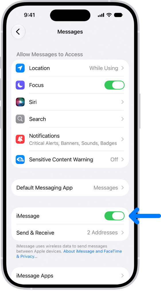 “信息”设置面板中的“iMessage 信息”已打开。