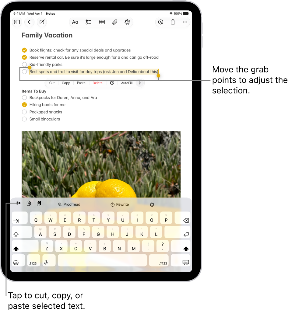 Text is selected in a note in the Notes app. Above the selected text is a menu of buttons including Cut, Copy, and Paste. The selected text is highlighted, with grab points to adjust the selection at either end.
