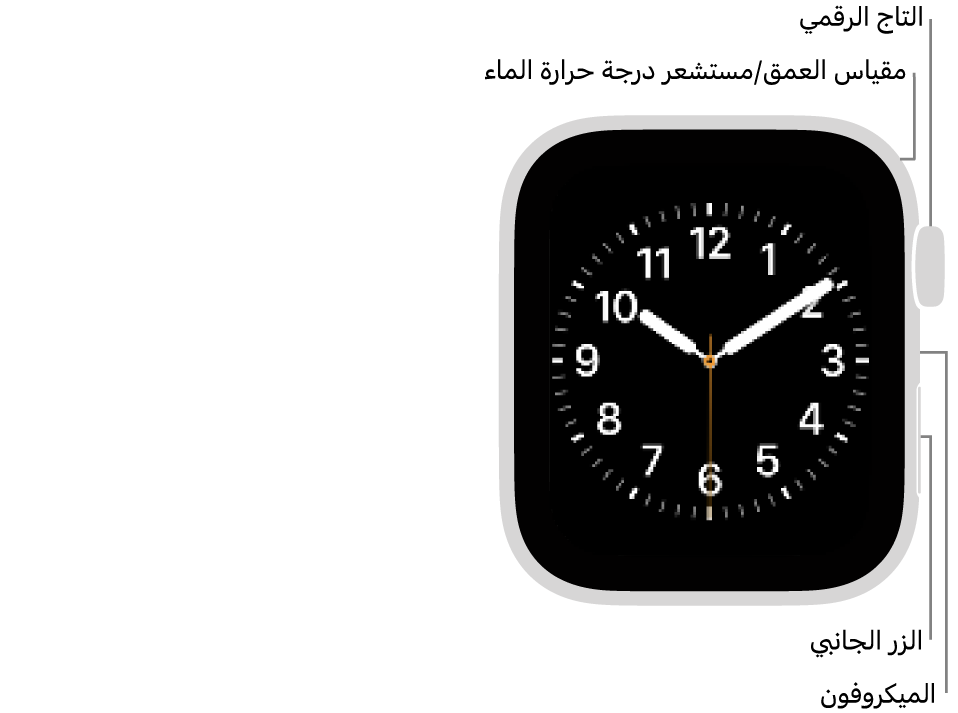 الجزء الأمامي من Apple&nbsp;Watch&nbsp;SE&nbsp;3 وتظهر به شاشة العرض التي تعرض واجهة الساعة والتاج الرقمي والميكروفون والزر الجانبي من أعلى إلى أسفل على جانب الساعة.