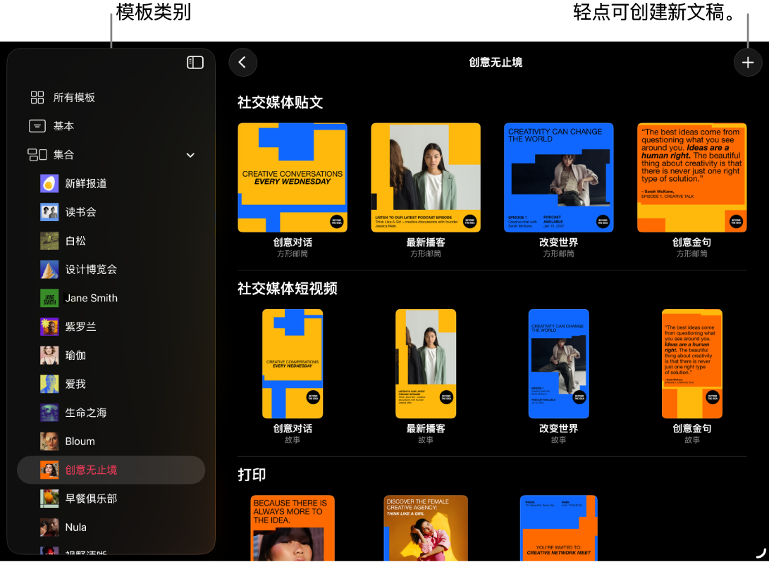 模板浏览器