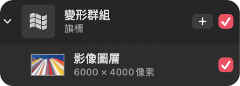 「圖層」側邊欄中的變形群組。