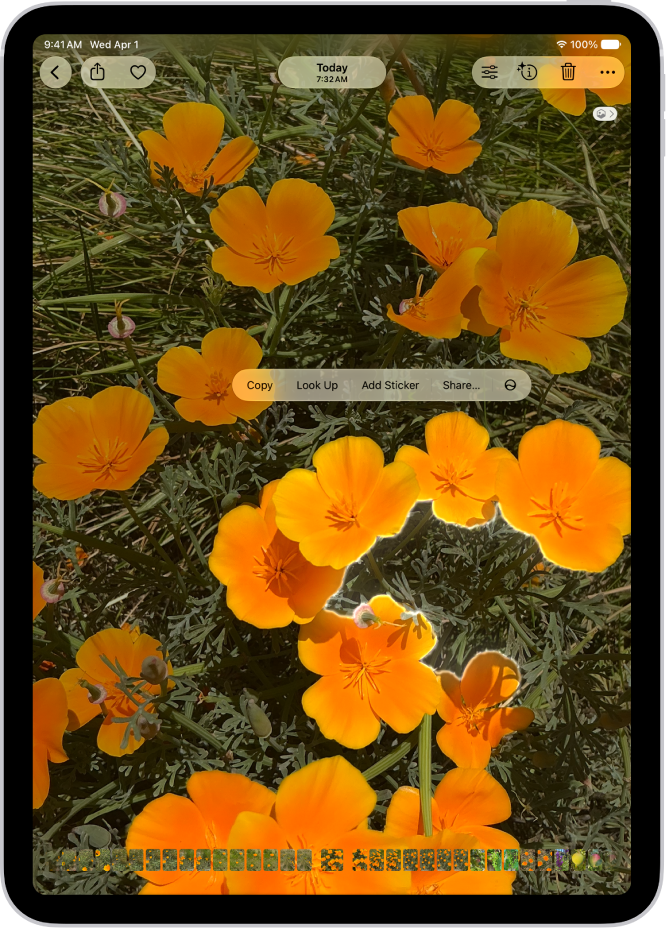 A photo is open in the Photos app library. The subject in the center of the photo is outlined and the Copy, Look Up, Add Sticker, and Share buttons appear above it.