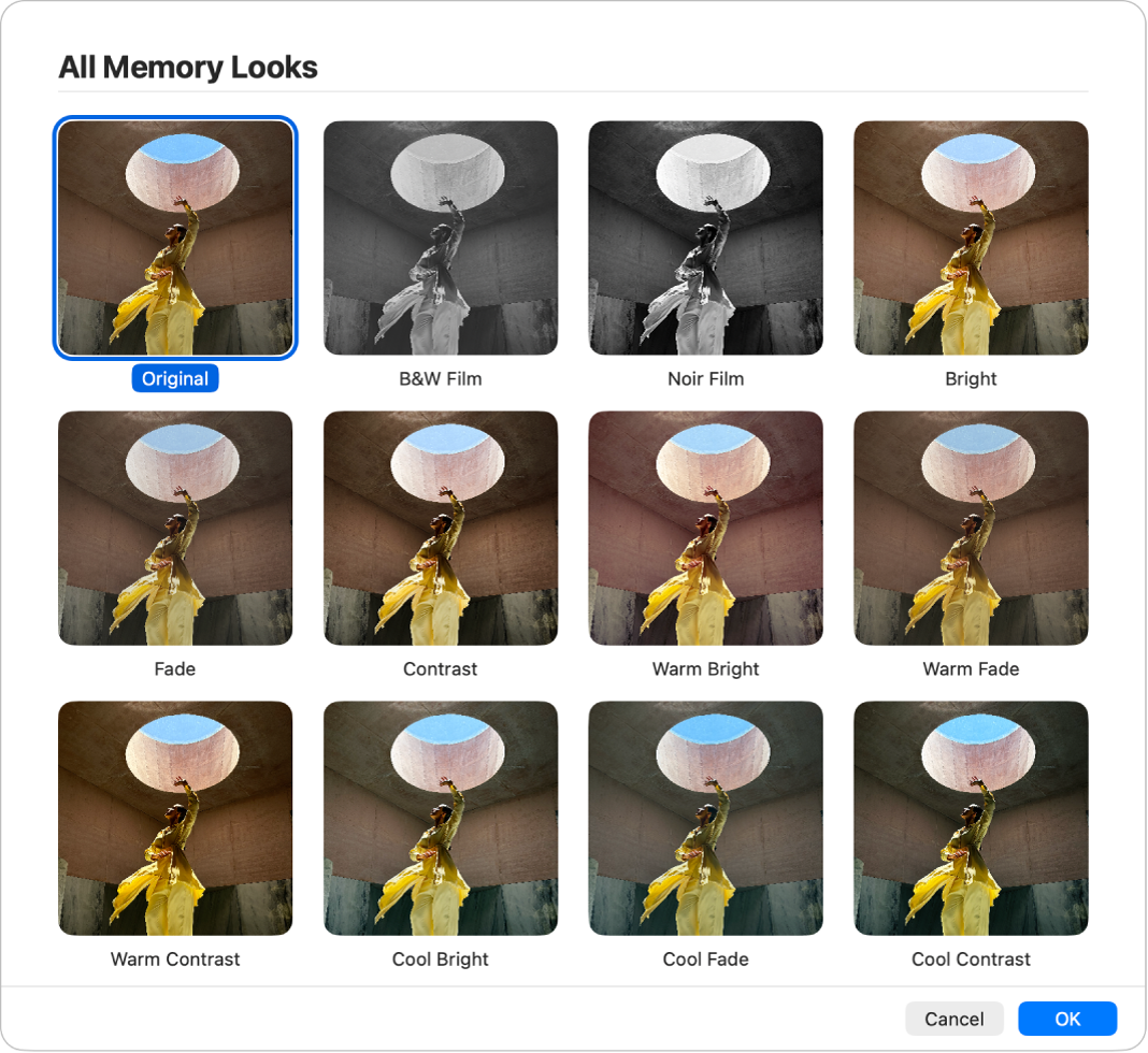 La ventana de Fotos mostrando aspectos que puedes aplicar a los elementos de un recuerdo.