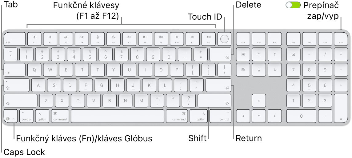 Klávesnica Magic&nbsp;Keyboard s&nbsp;Touch ID a&nbsp;numerickou klávesnicou, na ktorej je vidieť rad funkčných klávesov a&nbsp;senzor Touch ID v&nbsp;hornej časti a&nbsp;funkčný kláves (Fn)/kláves Glóbus napravo od klávesu Delete.