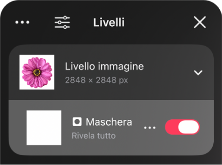 Un livello di maschera nella barra laterale Livelli