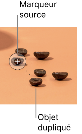 Une photo de grains de café, dont un grain supplémentaire a été dupliqué à l’aide de l’outil Cloner.