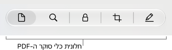 כלי סוקר של PDF.