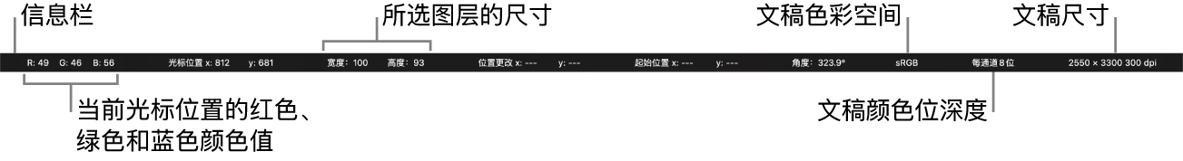 信息栏