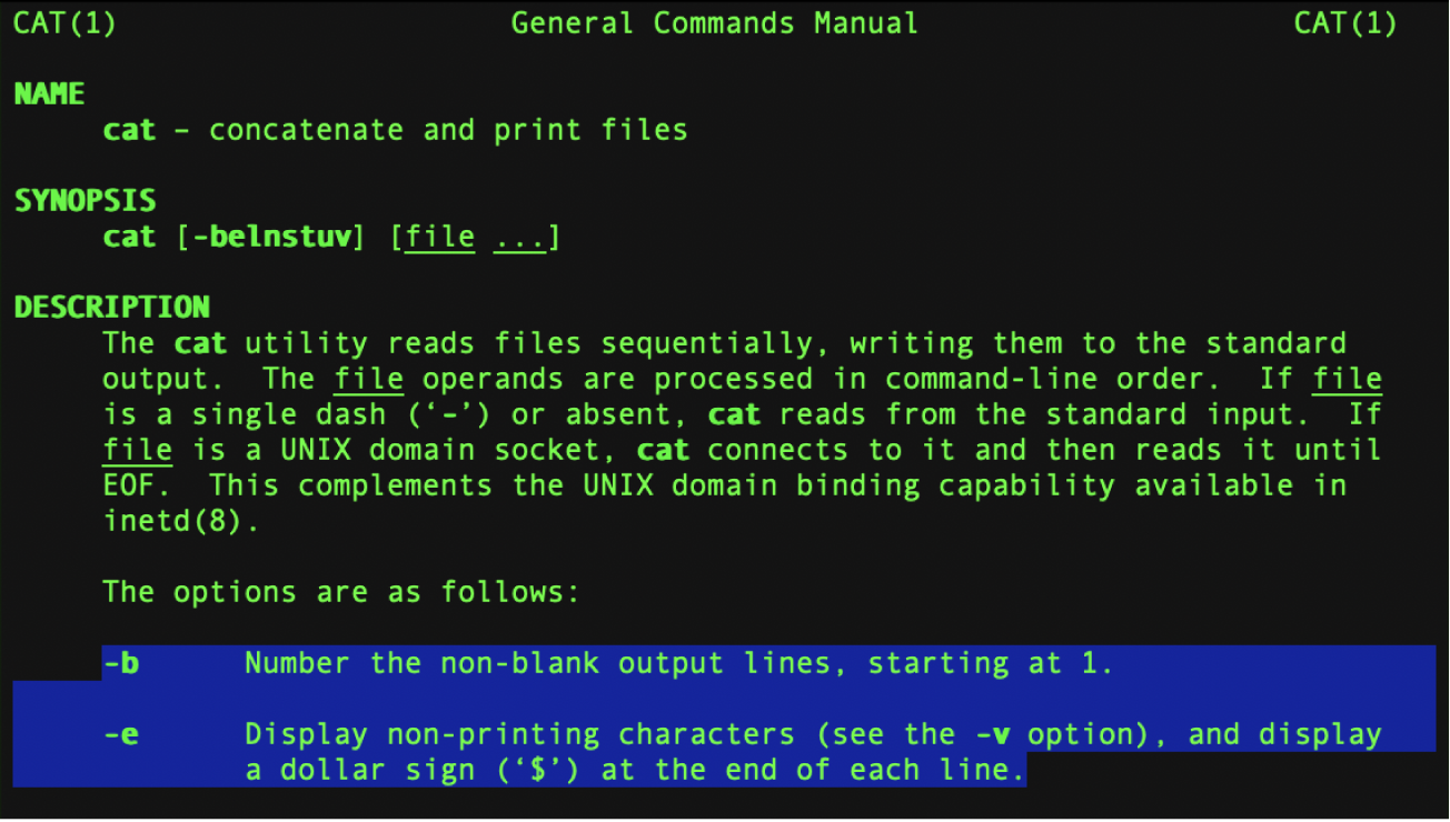 A Terminal window showing a script that erases a disk.