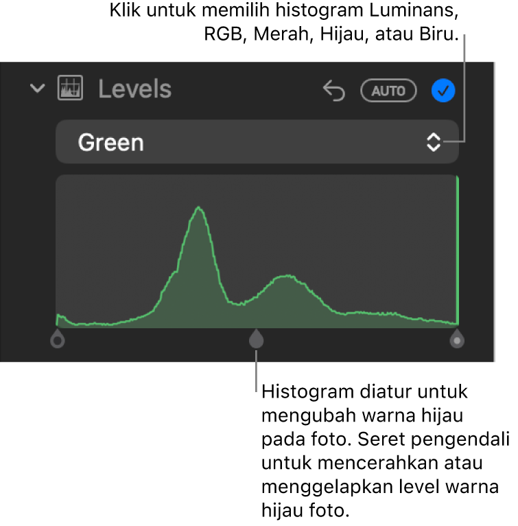 Kontrol Level di panel Sesuaikan, menampilkan histogram Merah dengan pengendali di bawah untuk menyesuaikan level merah foto.