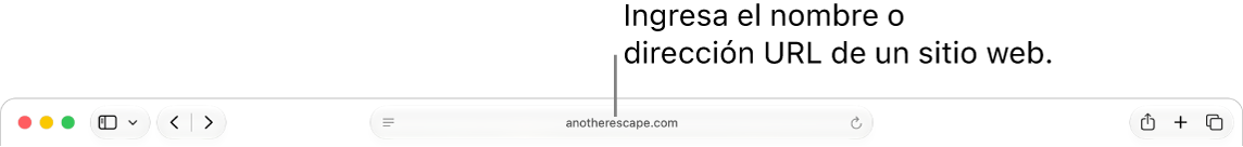 El campo de búsqueda inteligente de Safari, en donde puedes ingresar el nombre o la URL de un sitio web.